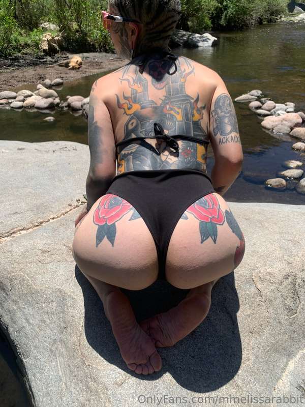 mmelissarabbit