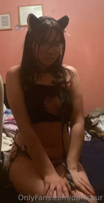 danisaur image #0