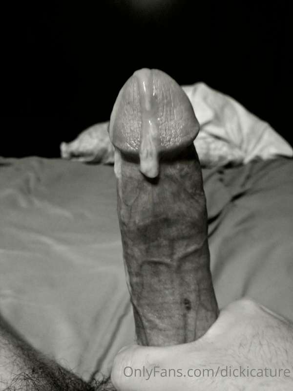 dickicature image #0