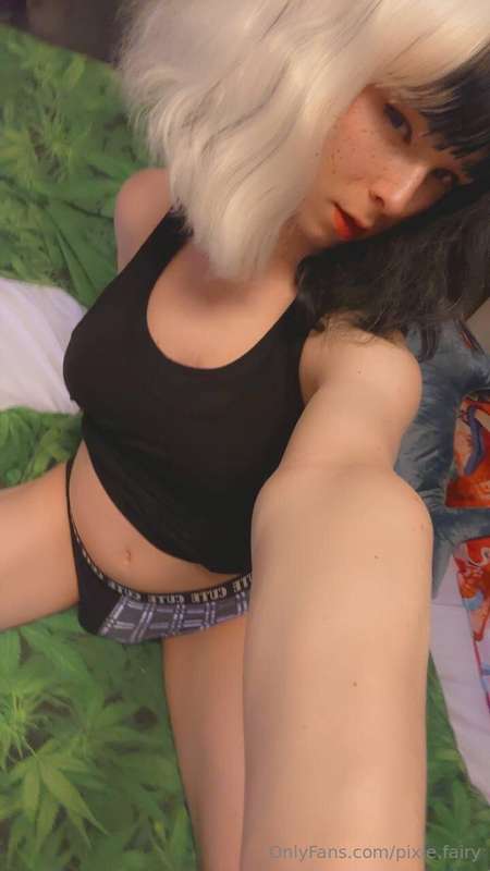 pixie.fairy image #1