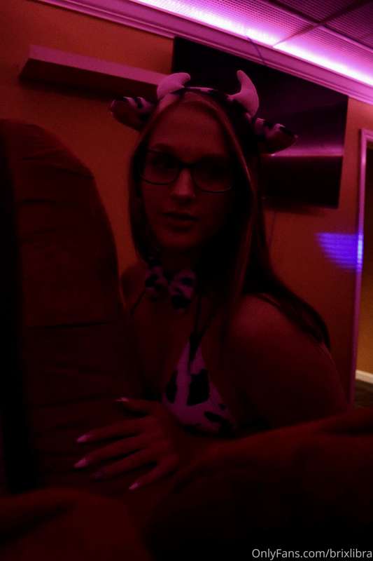 brixlibra image #0