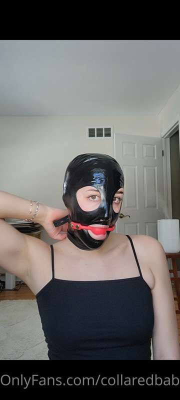 collaredbabe image #1