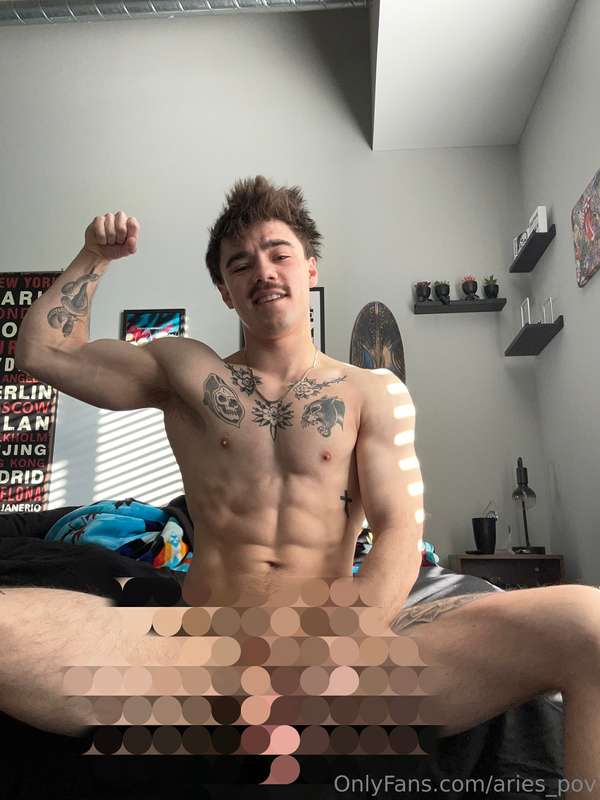 Aries_pov