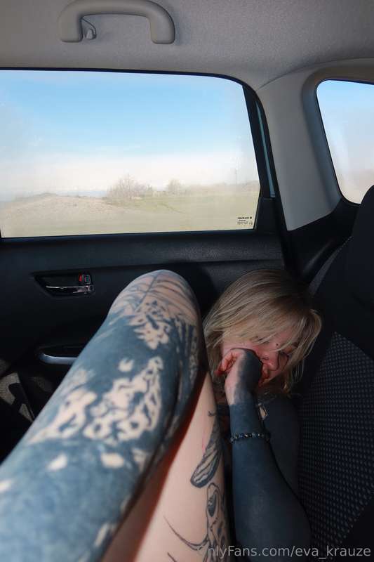 Have you ever pulled your dick out in the passenger compartm..