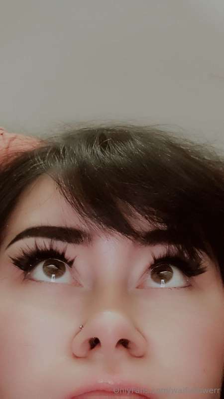 waifuflowerr
