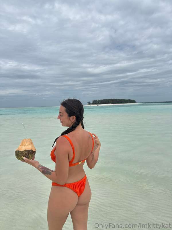 imkittykat