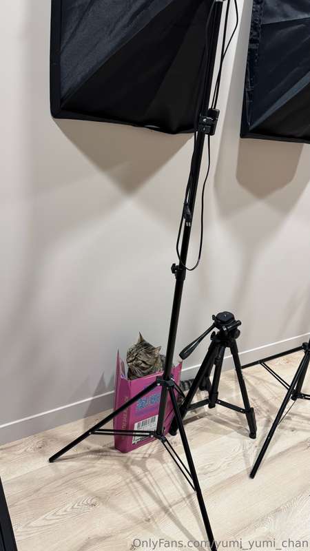 media