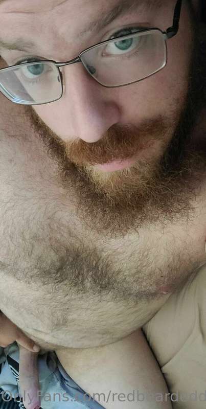 redbeardeddragon