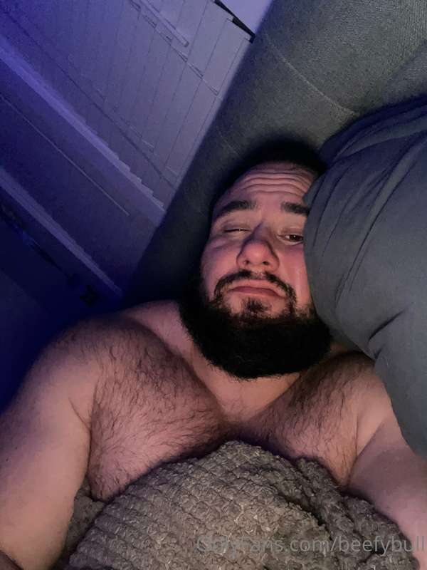 beefybull