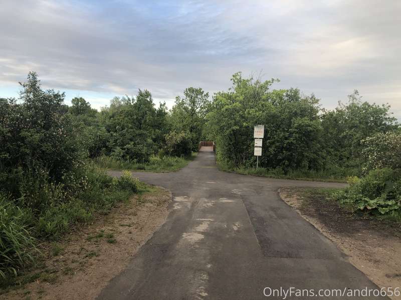 Halo all, well took my #eveningwalk around a trail near my p..
