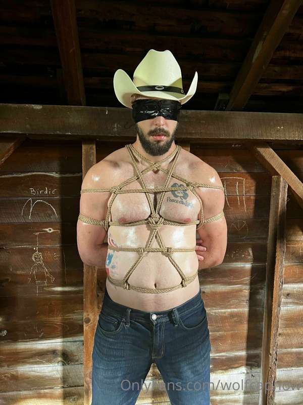 wolfcapnow image #17