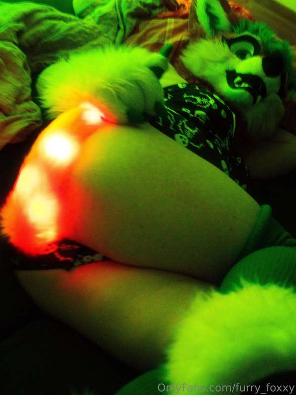 furry_foxxy