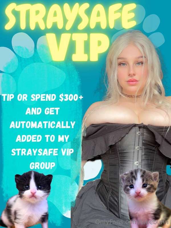 Hiii 💕 I'm starting a STRAYSAFE VIP club so I'm able to than..