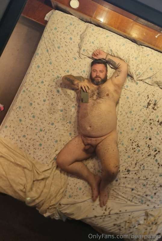 bearpamp