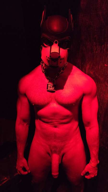 Do you like Horny Buday? 😈