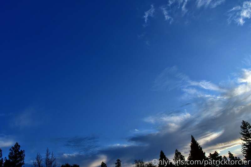 Cali Sunny Sky's at Sunrise, Getting Warmer Flowers Blooming..
