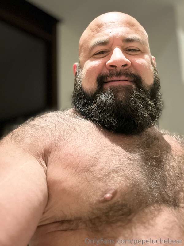 pepeluchebear