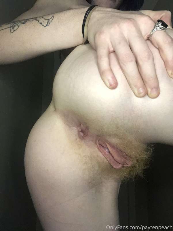 gingerkitty47 image #6