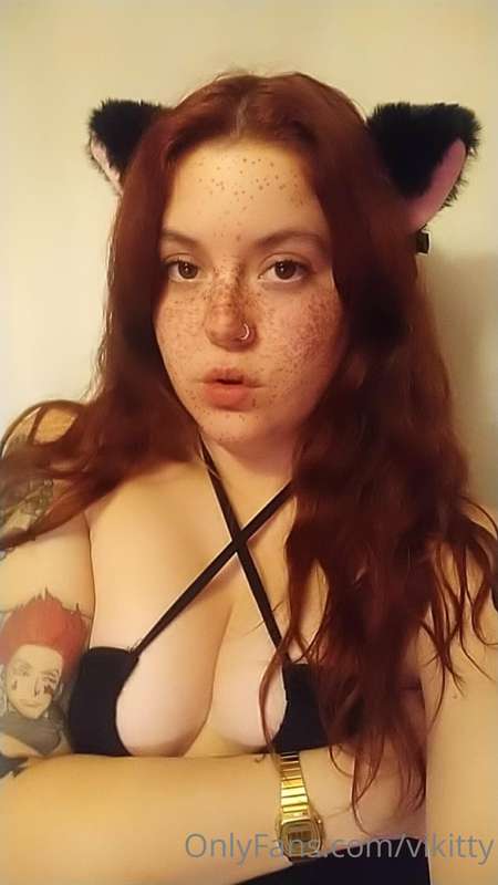 vikitty image #1