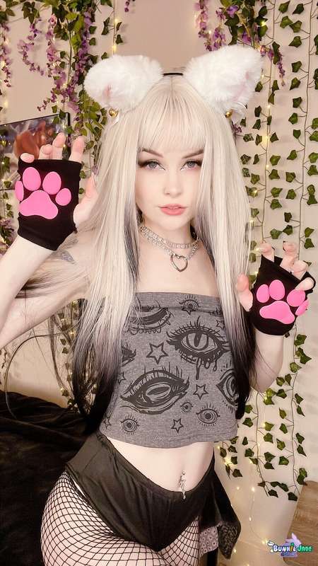 NyaNyaNya 😸