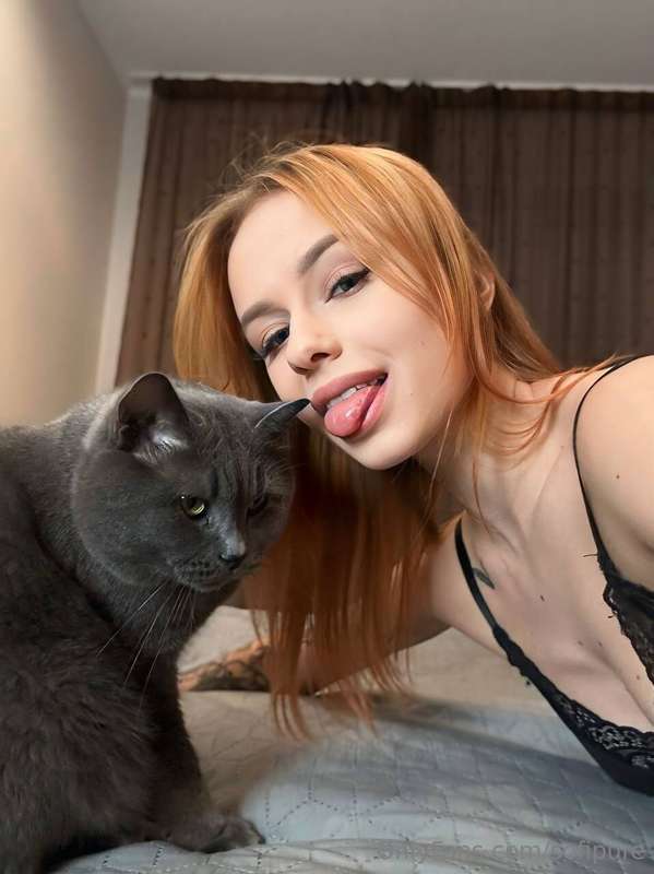 Chivas (my cat) is not particularly thrilled about the photo..