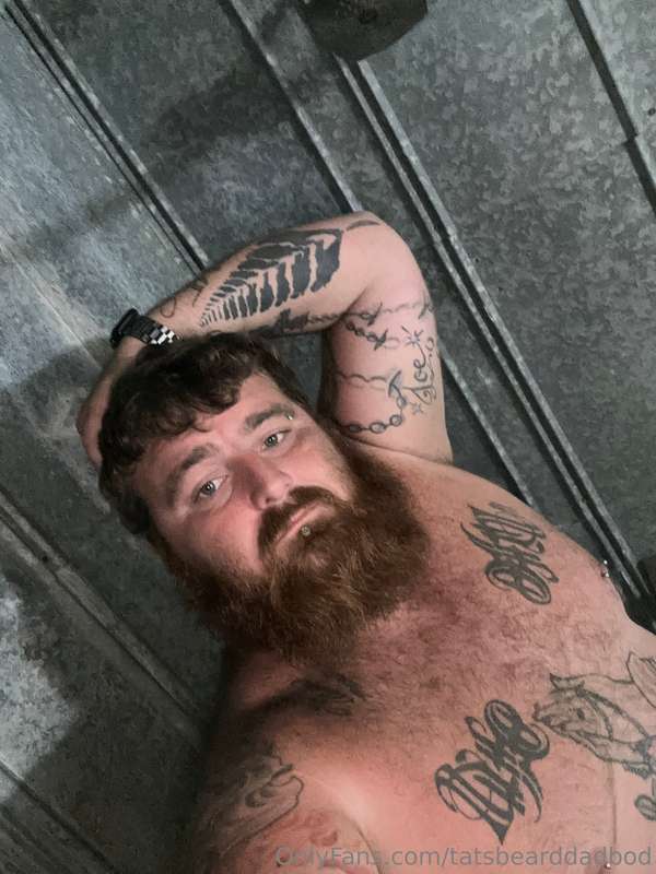tatsbearddadbod