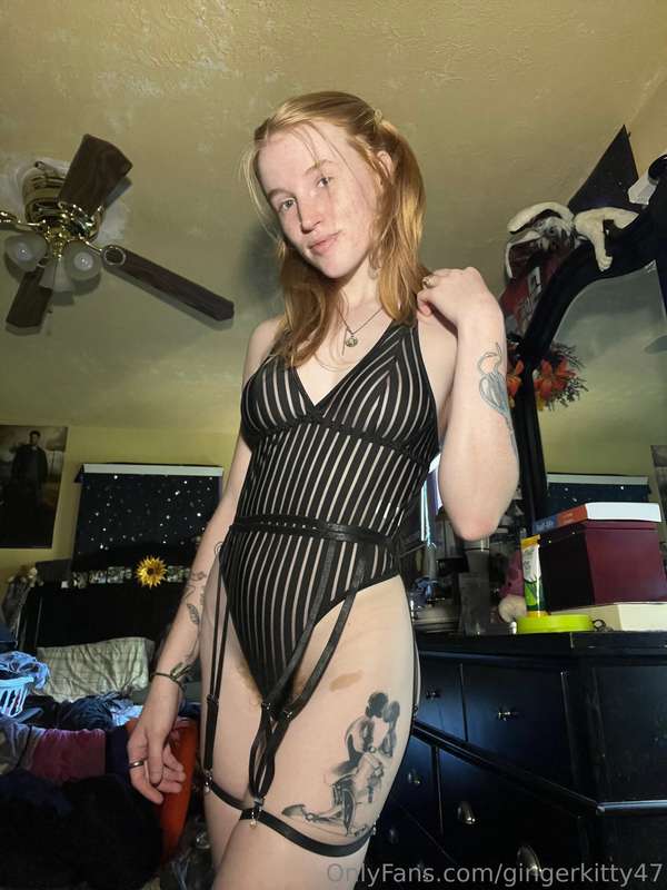 gingerkitty47 image #1