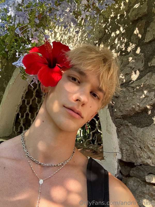 andrii_shine