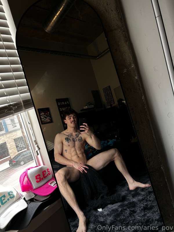 Aries_pov