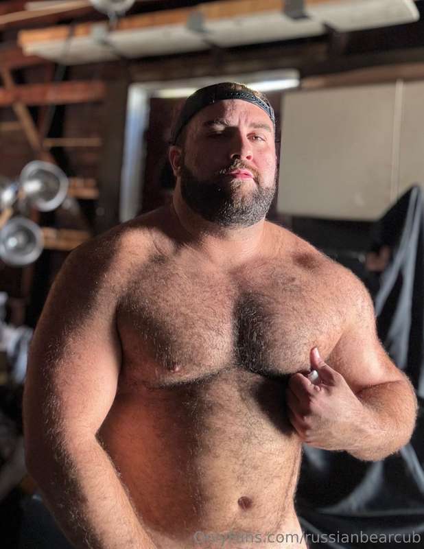 russianbearcub