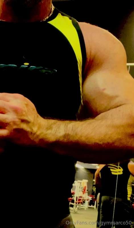 gymmarco50