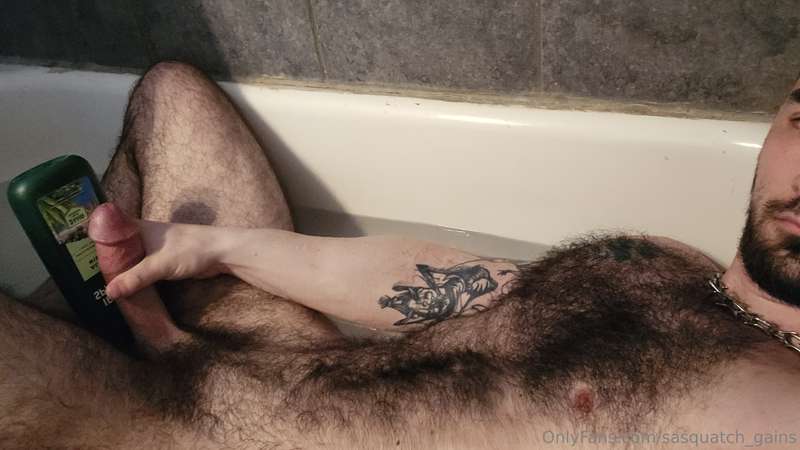 sasquatch_gains