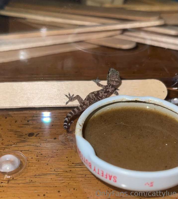 So my kids convinced me we had to keep this Mediterranean Ho..
