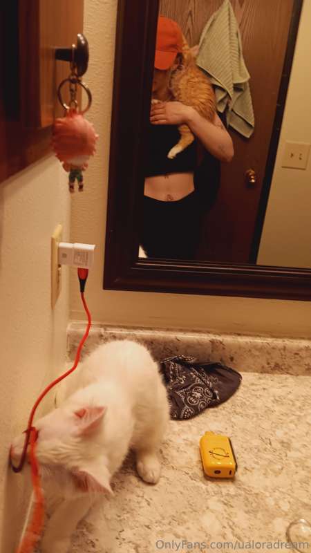 media