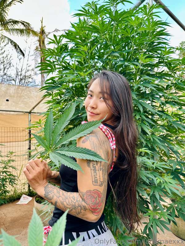 🫶💚