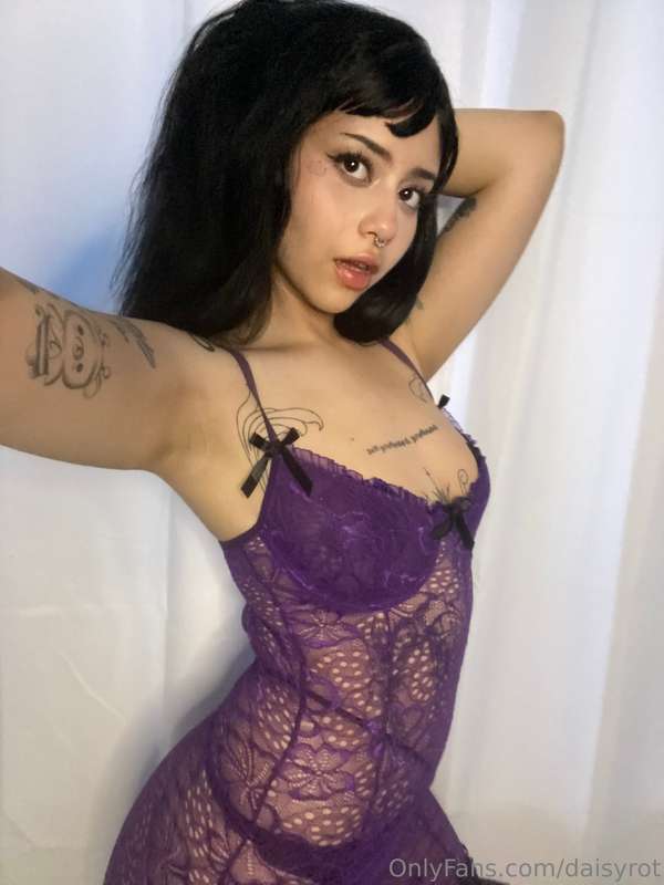 daisyrot
