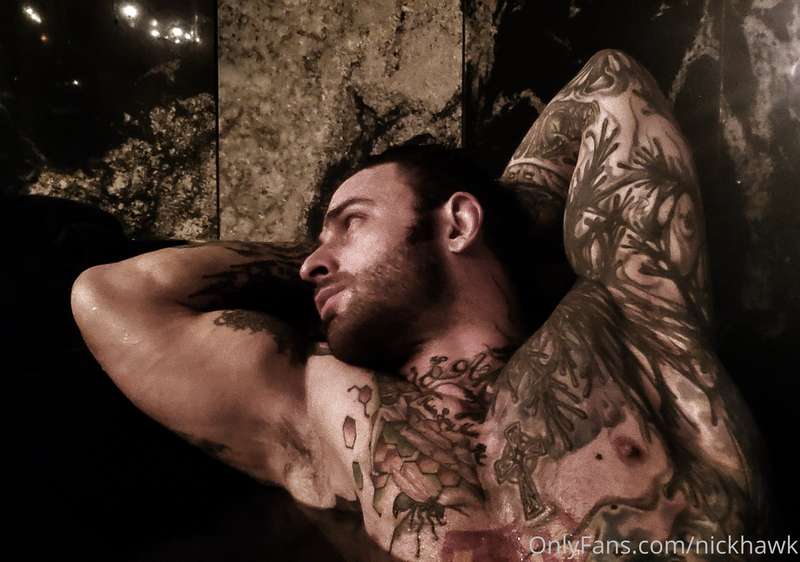 nickhawk image #1