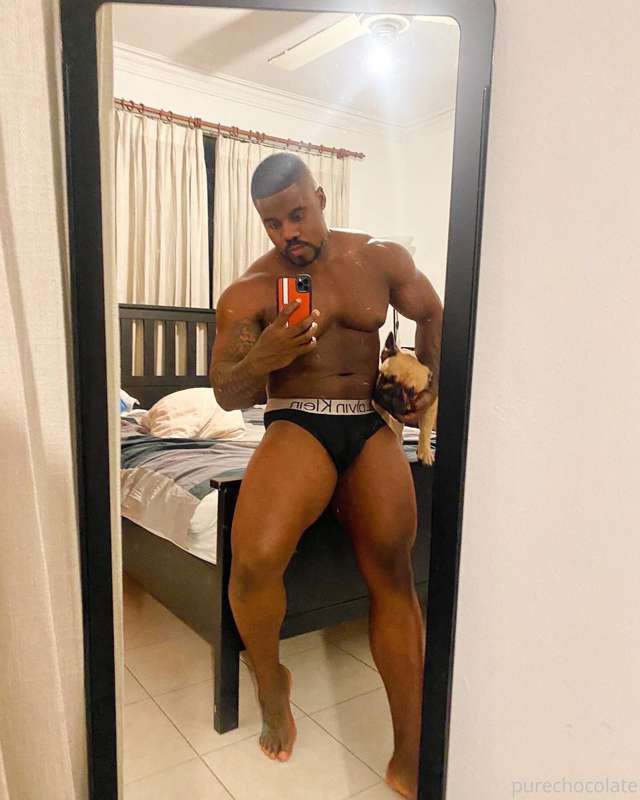 purechocolate
