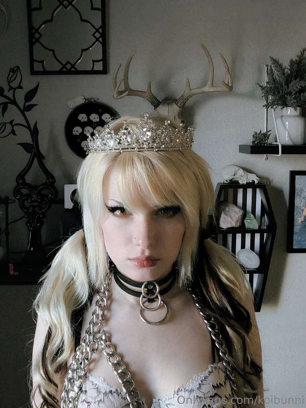 bunnicrypt image #8