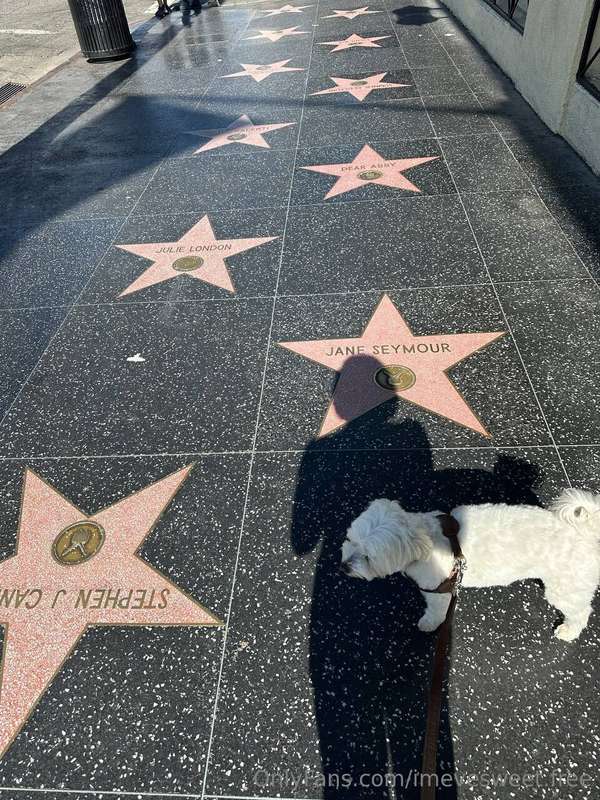 He’s just checking if his name is here already 😂⭐