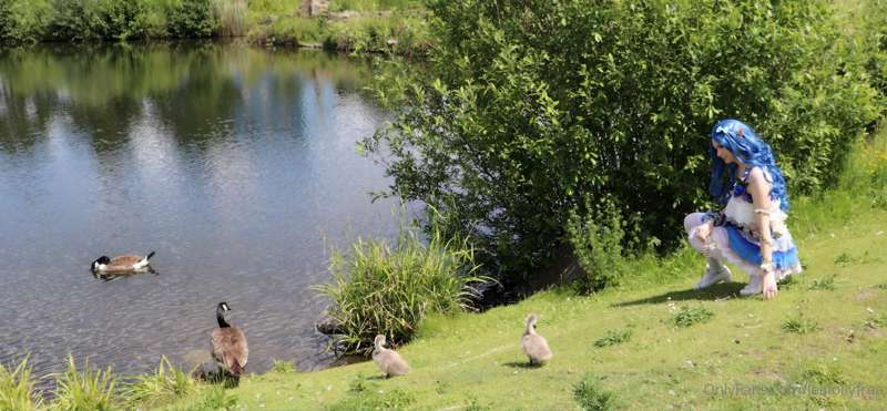media