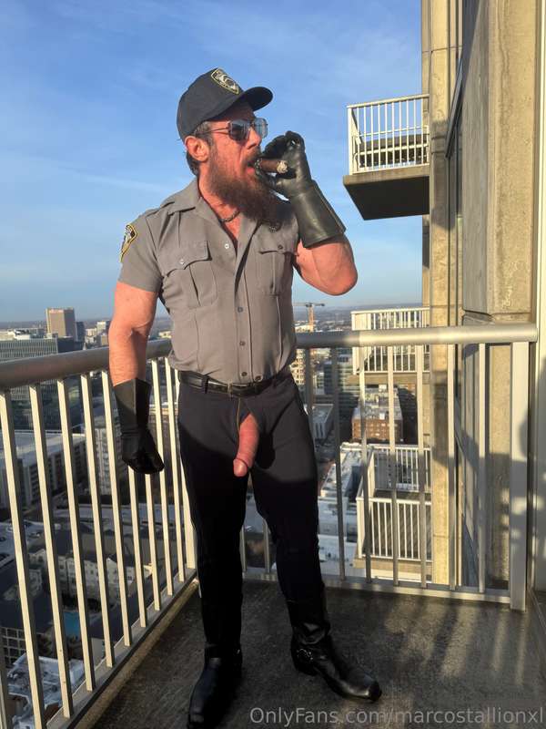 marcostallionxl