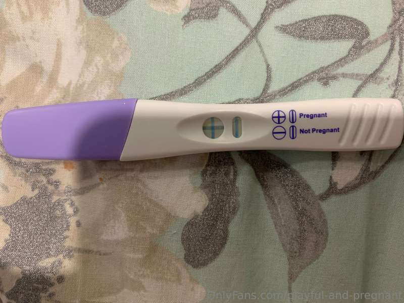 playful-and-pregnant