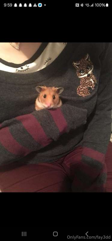 Idk if this is OF worthy. But these are some of the hamsters..