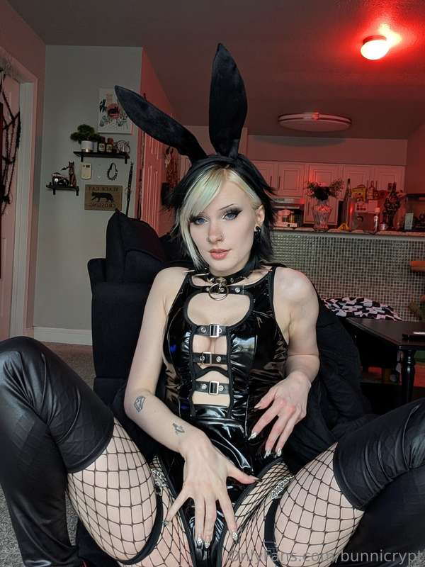 bunnicrypt image #0