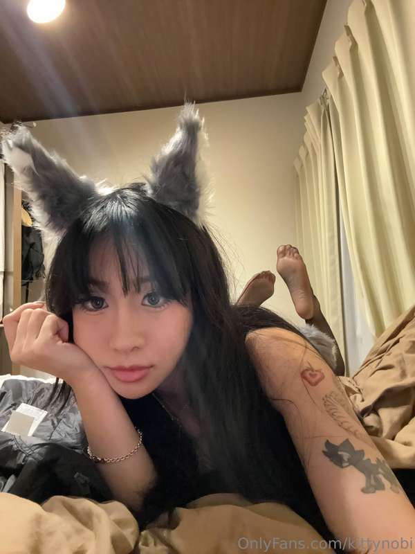 kittynobi