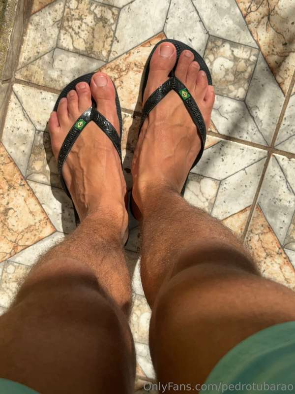 pedrotubarao