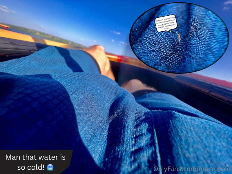 media