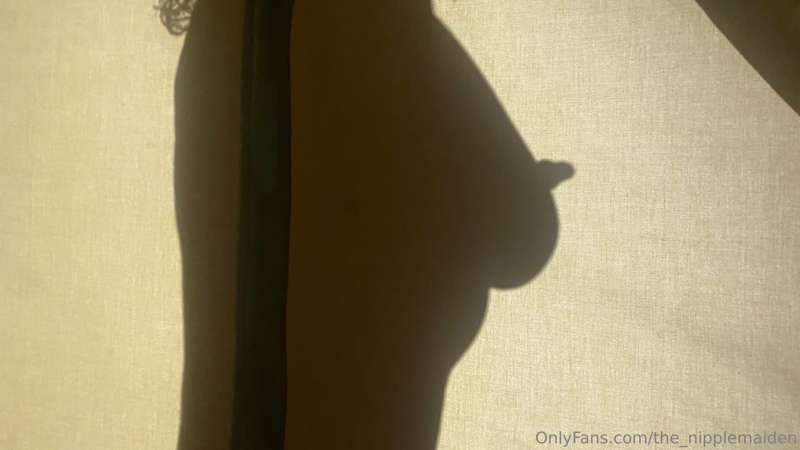 the_nipplemaiden image #9