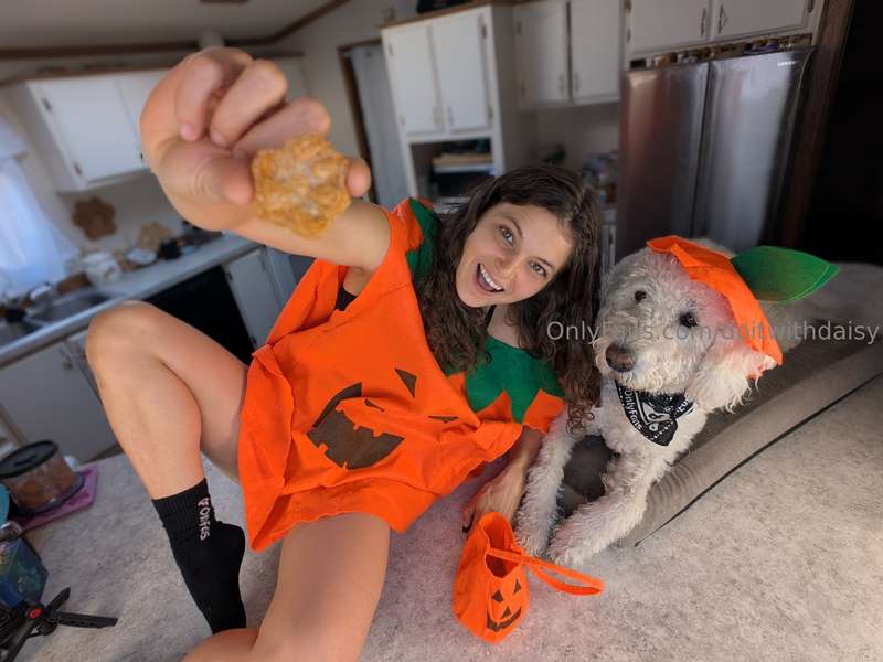 Stream started at 10/15/2025 04:29 pm  Pumpkin Paws  The Off..